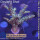 4A5-5 WYSIWYG - Acropora sp, Höhe 41mm