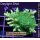 4A5-7 WYSIWYG - Acropora nana (large) Höhe 70mm