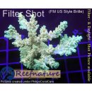 4A6-7 WYSIWYG - Acropora table  Höhe 48mm