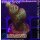 Porites Grinch Small bis 3cm
