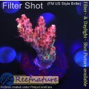 4A7-5 WYSIWYG - Acropora red Planet, Höhe 26mm