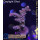 4A7-6 WYSIWYG - Acropora spathulata, Höhe 51mm