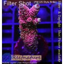 4B1-1 WYSIWYG - Acropora millepora Höhe 42mm