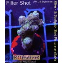 4B1-3 WYSIWYG - Acropora millepora, Höhe 35mm