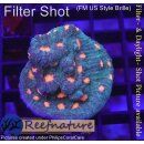 4C1 WYSIWYG - Chalice orange Dots large