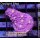 4C1 WYSIWYG - Chalice Ultra purple