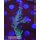 4D1-4 WYSIWYG - Acropora electric miyagi, Höhe 75mm