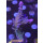 4D1-4 WYSIWYG - Acropora electric miyagi, Höhe 75mm