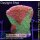 4D2-2 WYSIWYG - Montipora crafted