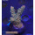 4D2-3 WYSIWYG - Acropora sp, Höhe 35mm