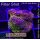 4D2-5 WYSIWYG - Montipora Rainbow