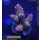 4D2-6 WYSIWYG - Acropora millepora, Höhe 41mm