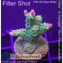 4D3-2 WYSIWYG - Acropora Pink Paletta (Höhe 44 mm)
