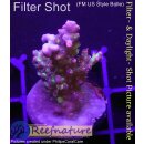4D3-4 WYSIWYG -Acropora Strawberry Shortcake RED (Höhe  38mm)