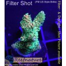 4D3-6 WYSIWYG -Acropora millepora (Höhe 37 mm)