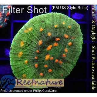 Chalice - Space Invader  ⌀3-5cm