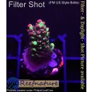 4B1-9 WYSIWYG - Acropora strawberry Shortcake, Höhe...