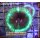 Palythoa Grandis Yellow/Green Glow Cinnamon 3 Polypen