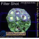 H2-R1-3 WYSIWYG - Favia sp.