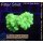H5-R1-1 WYSIWYG - Caulastrea Neongrün
