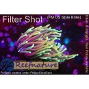 H7-R1-1 WYSIWYG - Euphyllia glabrescens Dragon Soul 1,5...