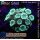 H5-R2-5 WYSIWYG - Alveopora sp.
