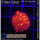 H5-R2-5 WYSIWYG - Gonipora  flash Rot/Gelb