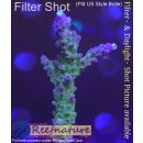 4A7-7 WYSIWYG - Acropora electric miyagi, Höhe 77mm